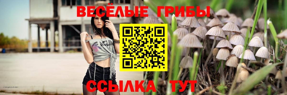 Галлюциногенные грибы GOLDEN TEACHER  купить наркотик  Тавда  Вход с VPN  Галлюциногенные грибы Psilocybine cubensis 